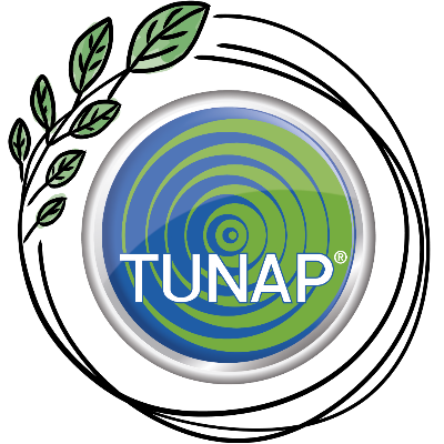 Tunap – CVing - Platform Experience per trovare lavoro